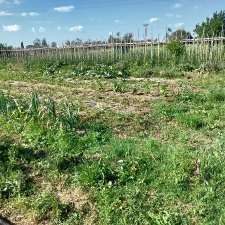 Casa Evelina, Armonia Del Passato Nel Rispetto Della Natura Donoratico