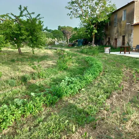 Apartment Casa Evelina, Armonia Del Passato Nel Rispetto Della Natura *