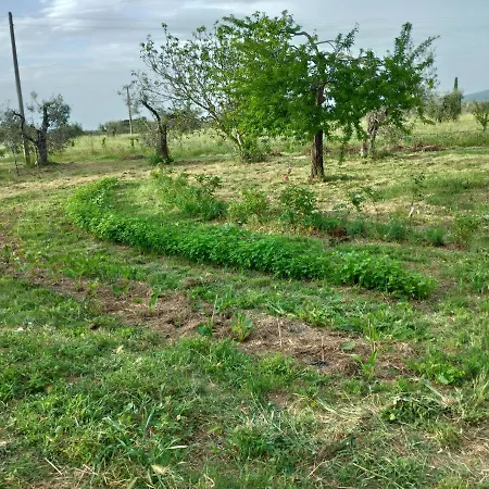 Casa Evelina, Armonia Del Passato Nel Rispetto Della Natura