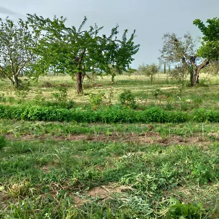 Casa Evelina, Armonia Del Passato Nel Rispetto Della Natura *