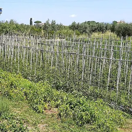 Casa Evelina, Armonia Del Passato Nel Rispetto Della Natura Apartment